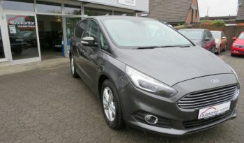 Ford S-Max 2.0 TDCi EcoBlue 150 Business A/T full
